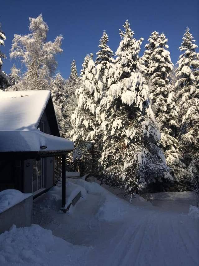 Apartmán Uroczysko Visla Exteriér fotografie