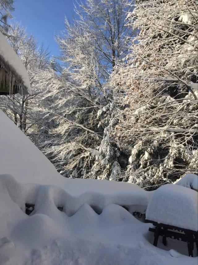 Apartmán Uroczysko Visla Exteriér fotografie